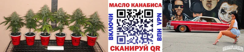 ТГК Wax  Купить закладки  Курчатов 